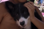 Luna - Spiaggia per Cani