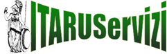 Itaruservizi