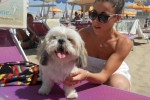 Tappo sul lettino a Riccione - Spiaggia per Cani